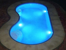 Bean Shaped Pool Manufacturer in Ahmedabad